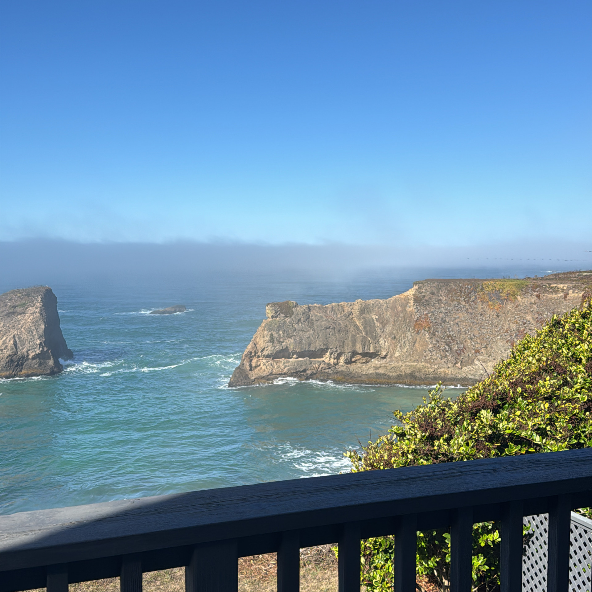 15502c40-c792-4365-ab70-ccaef15c4d9e